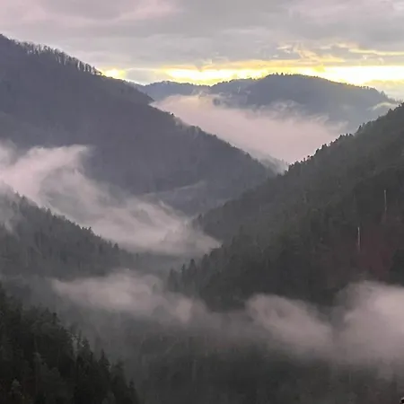 Appartement Livi - No Party