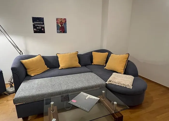 Daire Livi - No Party