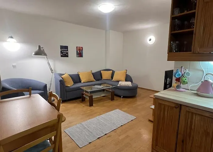 Livi - No Party Daire