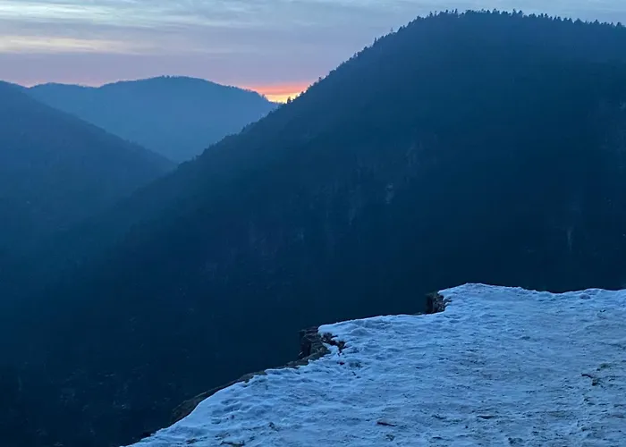 Daire Livi - No Party