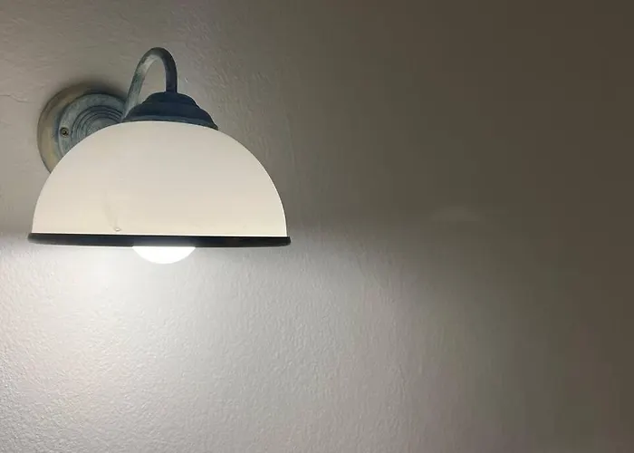 Daire Livi - No Party *